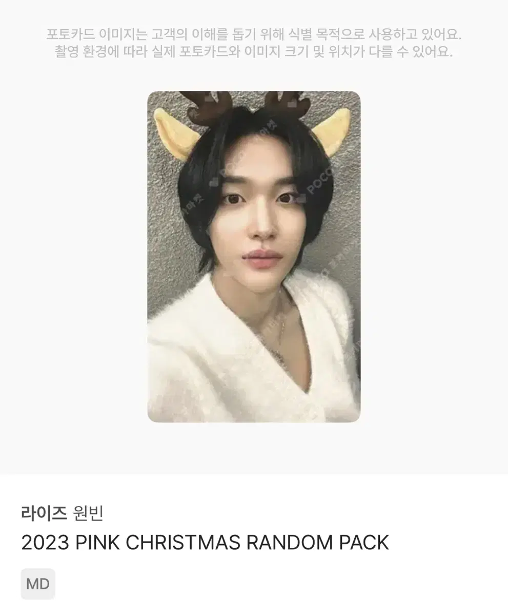 라이즈 원빈 2023 PINK CHRISTMAS RANDOM PAC